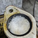 고아카센타 이미지