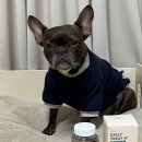 반려견 심장을 케어하는 피피픽 데일리 트릿 에이치플러스 영양제