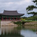 안압지농장 이미지