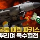 파키스탄, 이란에 즉각 보복 공습…중국산 5세대 스텔스 전투기도 사들인다 이미지