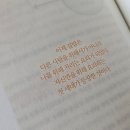 제일사랑 | [2026 트렌드 노트]독서후기- 제일 사랑하고 싶은 것은 나