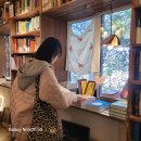 동경카정비 | 혼자 떠난 두 번째 제주 여행