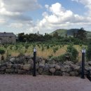 어게인원모어 이미지