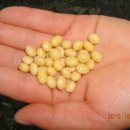 태광농장 이미지