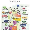 소화 불량과 지압점 이미지