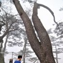 2013년 4월 29일 월요일 - 신안의 섬 여행기 / 자은도 안좌도 반월도 박지도 부소도 외우목도 추포도 이미지