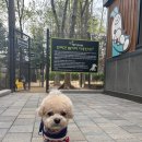 미니주동물병원 이미지