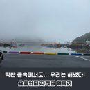 조이풀다이브리조트 | 탁한 물, 차가운 바다, 그래도 오픈워터 땄다! 실습 리얼 후기