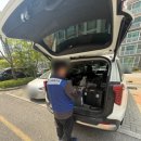 더락디테일 | 양주 현진에버빌 2단지 📌 도어락 설치의 디테일