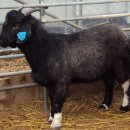 천관농장 이미지