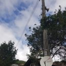 고운동아침 이미지