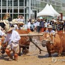 시연 카카오 검색결과