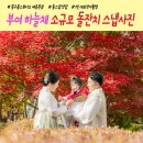 하늘채 | 충남 부여 하늘채 소규모 돌잔치 돌스냅 사진 촬영 후기