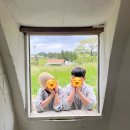 라봉샵 | 반려견 동반 제주여행 | 배타고 제주여행 | 강아지와 함께 배타고 제주도 | 가족동반 제주여행| 강아지...