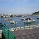 김소운 문학비 이미지