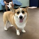 놀다가개유치원 이미지