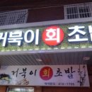 거북이회초밥 네이버블로그
