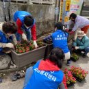 간석3동-12 이미지