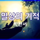 일상의 기적 / 박완서 이미지