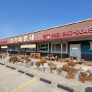 정가네동태야 | 충주 중앙탑면 서충주 신도시 맛집 정가네명태 충주본점 후기