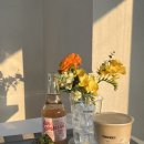 전골잘하는곰집 | [산곡동/청천동] 원적산 근처 분위기 좋은 신상 카페 ‘티킷’ 추천 (내돈내산 후기)