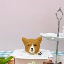 포레그스(삼송점) 네이버블로그