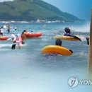 달천계곡 상류 이미지