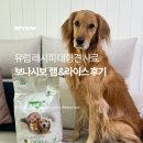싼타슈퍼 | 보나시보 유럽 레시피로 만든 기호성 좋은 대형견사료 램&라이스 급여 후기
