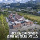 상관 공기마을 편백숲 | 완주 초가을 힐링 웰니스 여행 코스 :: 상관 공기마을 편백숲, 색장정미소, 전주 평화의전당 피크닉...
