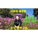 유성 / 사랑을 해봐 (원key Abm) mr 이미지