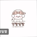 털빨샵 | (수원, 강아지, 고양이, 애견미용, 추천!) 멍빨털빨 멍빨털빨, 맞춤형 애견미용 전문