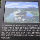 느티나무 캠핑장 이미지