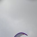 다빈치M