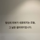 서울피부과의원 | [서울/강남] 서울 강남 피부과 온다리프팅 6만줄 후기, 셀리데이의원