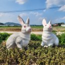 용설농장 이미지