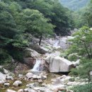 구드래관광지 이미지