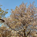 열우물숲공원 이미지