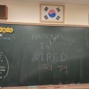 한나방