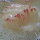 삼천포세꼬시 이미지