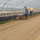 인덕농장 이미지