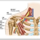 길동메디칼