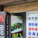 해피플러스안경원 이미지