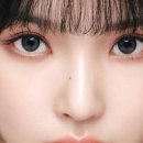 으뜸50안경 화명점 위드렌즈 이미지