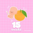 (주)하이떼루로또 | 임신일기 (15 ~ 17주) | 젠더리빌 그리고 후쿠오카 태교여행