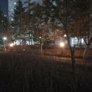 백마공원 이미지