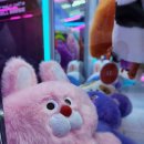 뽑생뽑사 이미지