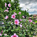 대황경로당 이미지