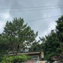 봄바람하우스 이미지