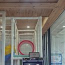 오로지키즈풀빌라 | 내돈내산) 여수 키즈풀빌라 레이지데이 솔직후기 🏊‍♀️
