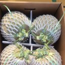 시우네농장 이미지